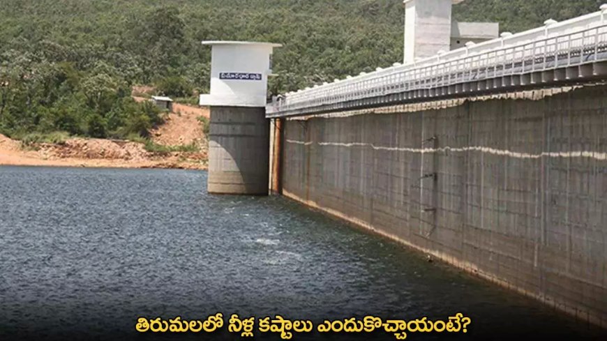 Tirumala : తిరుమలలో నీళ్ల కష్టాలు ఎందుకొచ్చాయంటే?