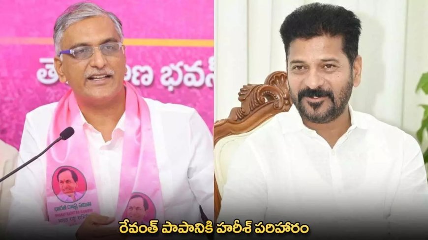 TG : రేవంత్ పాపానికి హరీశ్ పరిహారం