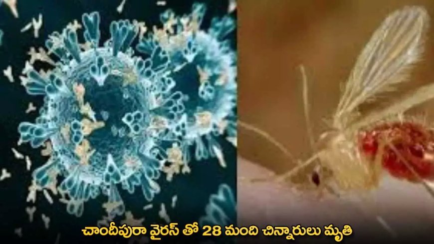 Chandipura Virus : చాందీపురా వైరస్ తో 28 మంది చిన్నారులు మృతి