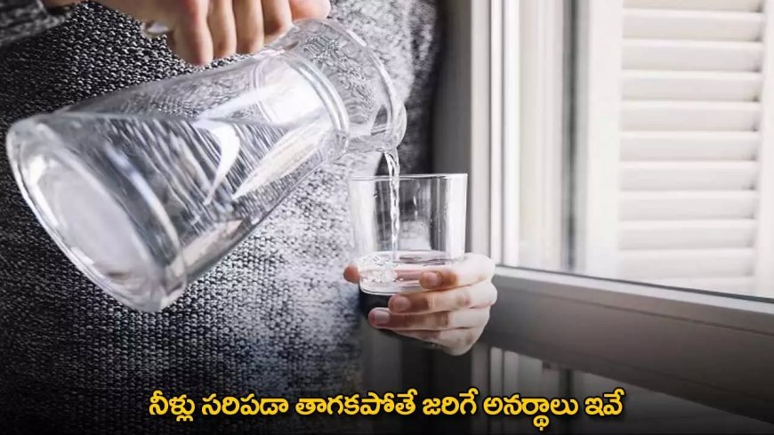 Benefits of Drinking Water : నీళ్లు సరిపడా తాగకపోతే జరిగే అనర్థాలు ఇవే