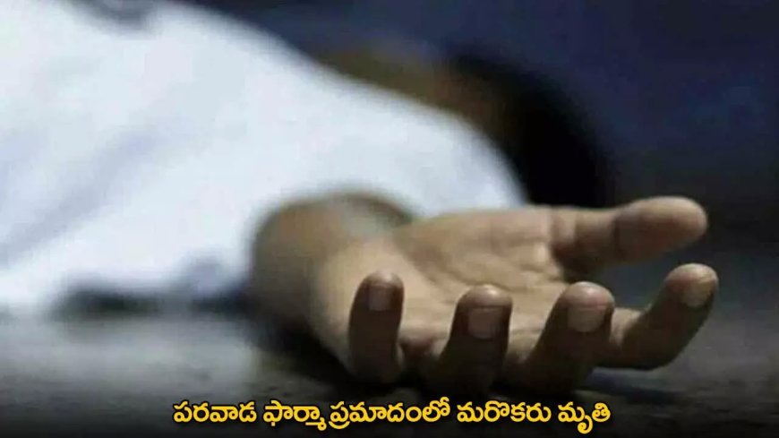 Parawada Pharma Company : పరవాడ ఫార్మా ప్రమాదంలో మరొకరు మృతి