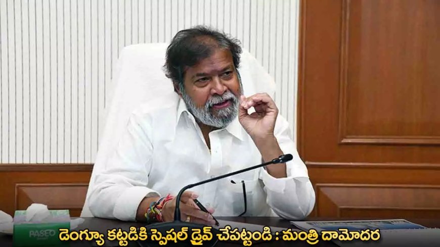 Dengue : డెంగ్యూ కట్టడికి స్పెషల్ డ్రైవ్ చేపట్టండి : మంత్రి దామోదర