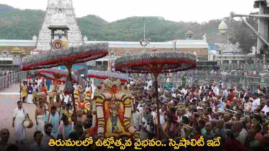 Tirupati : తిరుమలలో ఉట్లోత్సవ వైభవం.. స్పెషాలిటీ ఇదే