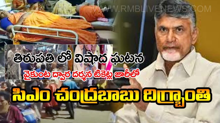 CM Chandrababu Naidu: తిరుపతి ఘటనపై సీఎం చంద్రబాబు దిగ్భ్రాంతి....